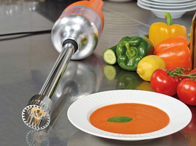 PROFESSIONAL HAND MIXER JUNIOR DMX 225 blender / homogenizer MX110